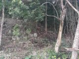 LOT 18 BONHAM SPRING, St. Ann, Jamaica - Residential lot for Sale
